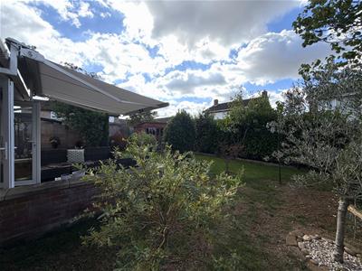 Picture 21